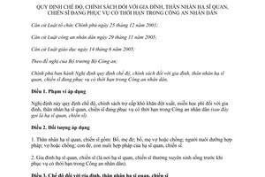 Nghị định 87/2013/NĐ-CP chế độ chính sách gia đình hạ sĩ quan chiến sĩ trong Công an nhân dân