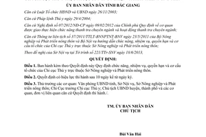 Quyết định 376/2013/QĐ-UBND chức năng nhiệm vụ quyền hạn Chi cục Thú y Bắc Giang