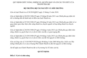 Quyết định 1299/QĐ-BTNMT chức năng nhiệm vụ quyền hạn cơ cấu tổ chức thanh tra bộ 2013