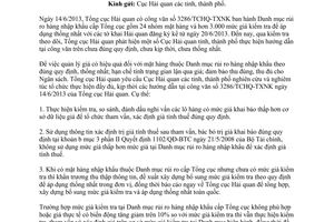 Công văn 4656/TCHQ-TXNK năm 2013 danh mục rủi ro hàng nhập khẩu