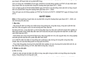 Quyết định 2462/QĐ-UBND 2013 quy hoạch bảo vệ phát triển rừng Quảng Nam