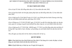 Quyết định 22/2013/QĐ-UBND nội dung chi mức chi cải cách hành chính Gia Lai