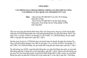 Công điện 43/CĐ-TW năm 2013 đối phó áp thấp nhiệt đới tìm kiếm cứu nạn