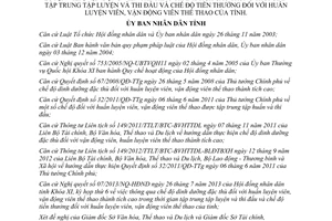 Quyết định 28/2013/QĐ-UBND chế độ dinh dưỡng huấn luyện viên Bình Định