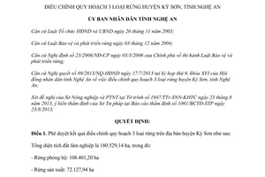 Quyết định 48/2013/QĐ-UBND điều chỉnh quy hoạch 3 loại rừng Kỳ Sơn Nghệ An