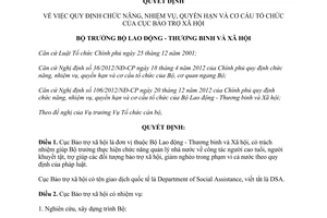 Quyết định 1268/QĐ-LĐTBXH năm 2013 chức năng tổ chức Cục Bảo trợ xã hội