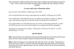 Quyết định 14/2013/QĐ-UBND hỗ trợ giải quyết việc làm đào tạo nghề Đắk Nông