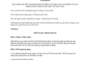 Nghị định 102/2013/NĐ-CP hướng dẫn Bộ luật lao động lao động nước ngoài