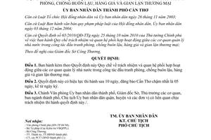 Quyết định 19/2013/QĐ-UBND đấu tranh phòng chống buôn lậu hàng giả thương mại Cần Thơ