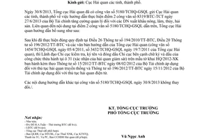 Công văn 5414/TCHQ-GSQL hướng dẫn bổ sung Công văn 5180/TCHQ-GSQL năm 2013