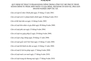 Nghị định 110/2013/NĐ-CP xử phạt vi phạm hành chính bổ trợ tư pháp hành chính tư pháp