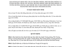 Quyết định 27/2013/QĐ-UBND tiêu chuẩn Trưởng phòng Phó Trưởng phòng Bình Dương