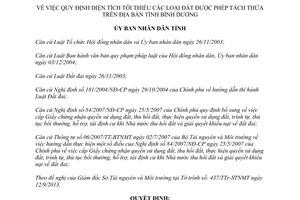 Quyết định 28/2013/QĐ-UBND diện tích tối thiểu đất được phép tách thửa Bình Dương