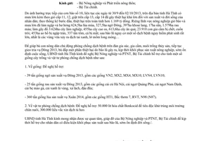 Công văn 3641/UBND-NL 2013 xin hỗ trợ giống cây trồng vật tư phòng dịch bệnh sau bão số 10 Hà Tĩnh