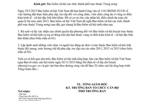 Công văn 4255/BHXH-TCCB năm 2013 chế độ phụ cấp trợ cấp viên chức người lao động