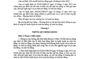 Thông tư 27/2013/TT-BLĐTBXH công tác huấn luyện an toàn lao động vệ sinh lao động