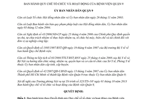 Quyết định 05/2013/QĐ-UBND Quy chế tổ chức hoạt động Bệnh viện Quận 9 Hồ Chí Minh