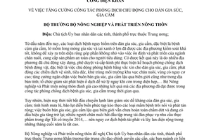 Công điện 14/CĐ-BNN-TY năm 2013 phòng dịch chủ động đàn gia súc gia cầm