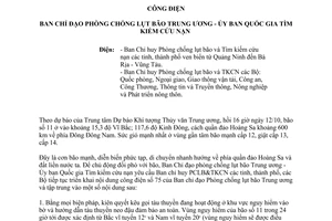 Công điện 77/CĐ-TW năm 2013 chủ động đối phó bão