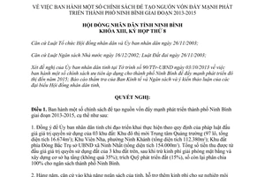 Nghị quyết 09/2013/NQ-HĐND chính sách tạo nguồn vốn phát triển Ninh Bình 2013 2015