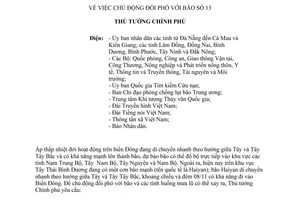 Công điện 1795/CĐ-TTg năm 2013 chủ động đối phó bão 13