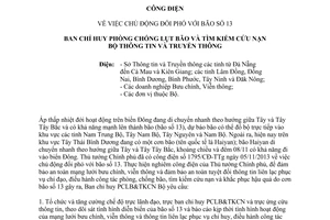 Công điện 1447/CĐ-PCLB&TKCN 2013 chủ động đối phó bão số 13