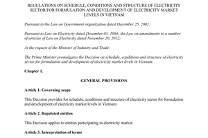 Decision No. 63/2013/QĐ-TTg structure electricity sector development electricity market levels 2013