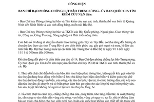 Công điện 91/CĐ-TW năm 2013 chủ động đối phó diễn biến bão 14