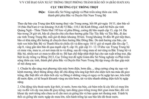 Công điện 01/CĐ-TT-CLT năm 2013 chỉ đạo sản xuất trồng trọt phòng tránh bão 14 HaiYan