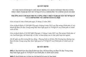 Quyết định 253/QĐ-BCĐCSXH năm 2013 Quy chế Ban Chỉ đạo Trung ương chính sách xã hội