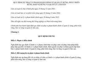 Nghị định 157/2013/NĐ-CP năm 2013 quy định xử phạt vi phạm hành chính quản lý bảo vệ rừng lâm sản