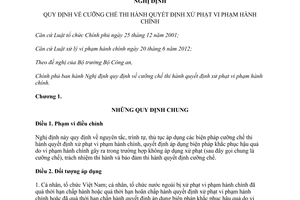 Nghị định 166/2013/NĐ-CP cưỡng chế thi hành quyết định xử phạt vi phạm hành chính