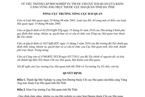 Quyết định 3855/QĐ-TCHQ 2013 thành lập Đội Nghiệp vụ cảng Sơn Dương