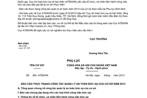 Công văn 982/ATBXHN-CP năm 2013 báo cáo quản lý an toàn bức xạ