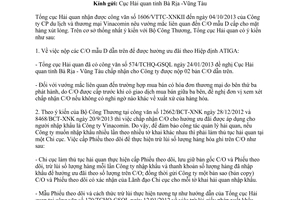 Công văn 6973/TCHQ-GSQL năm 2013 C/O mẫu D mặt hàng xút lỏng