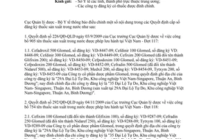 Công văn 19695/QLD-ĐK năm 2013 đính chính Quyết định cấp số đăng ký dược