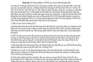 Công văn 2920/TT-CLT năm 2013 đẩy mạnh sản xuất cây vụ Đông 2013 triển khai vụ ĐX2013 2014