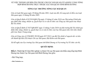 Quyết định 3951/QĐ-TCHQ năm 2013 thành lập Đội Chi cục Hải quan cửa khẩu cảng tổng hợp Bình Dương