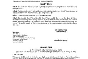 Quyết định 4817/QĐ-BYT năm 2013 tài liệu hướng dẫn chẩn đoán điều trị viêm gan vi rút C