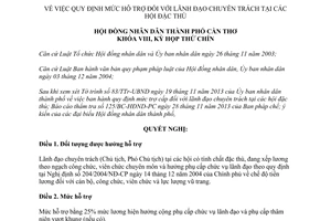 Nghị quyết 16/2013/NQ-HĐND về mức hỗ trợ đối với lãnh đạo chuyên trách tại các hội đặc thù Cần Thơ