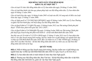 Nghị quyết 28/2013/NQ-HĐND Quy hoạch mạng lưới trường lớp học mầm non phổ thông Bình Định đến 2020