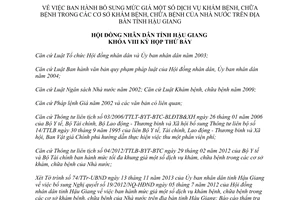 Nghị quyết 22/2013/NQ-HĐND bổ sung mức giá khám chữa bệnh nhà nước Hậu Giang