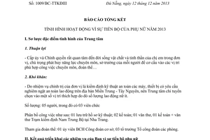 Báo cáo 1009/BC-TTKĐIII năm 2013 hoạt động vì sự tiến bộ của phụ nữ 2013