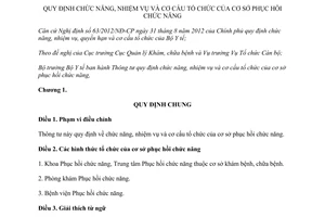 Thông tư 46/2013/TT-BYT chức năng nhiệm vụ cơ cấu tổ chức cơ sở phục hồi chức năng