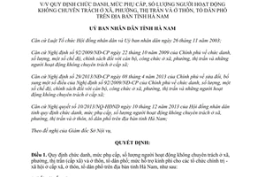 Quyết định 97/2013/QĐ-UBND quy định chức danh phụ cấp người hoạt động không chuyên trách Hà Nam
