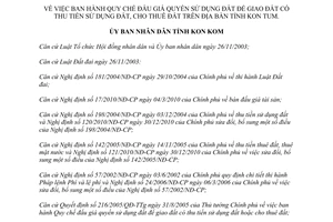 Quyết định 54/2013/QĐ-UBND đấu giá quyền sử dụng đất để giao đất có thu tiền sử dụng đất thuê đất Kon Tum
