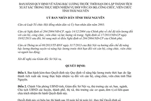 Quyết định 30/2013/QĐ-UBND nâng bậc lương trước thời hạn do lập thành tích xuất sắc Thái Nguyên