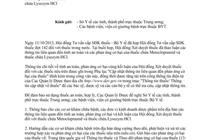 Công văn 20806/QLD-TT năm 2013 cung cấp thông tin thuốc chứa Metoclopramid Lysozym HCl