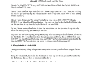 Công văn 1315/UBDT-DTTS năm 2013 tổ chức Đại hội đại biểu các dân tộc thiểu số Ủy ban Dân tộc