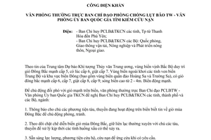 Công điện 99/CĐ-TW năm 2013 chủ động đối phó gió mạnh trên biển